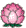 Lotus Lantern